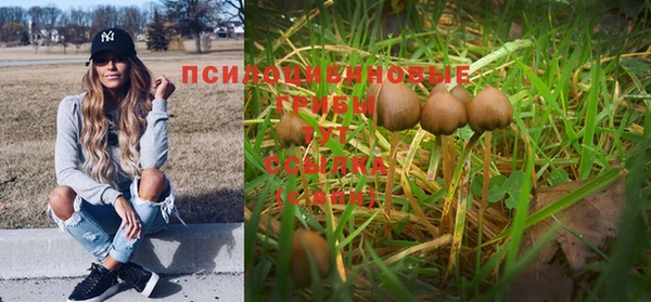амф Кукмор