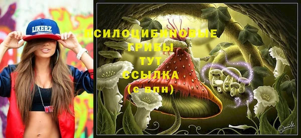 амф Кукмор