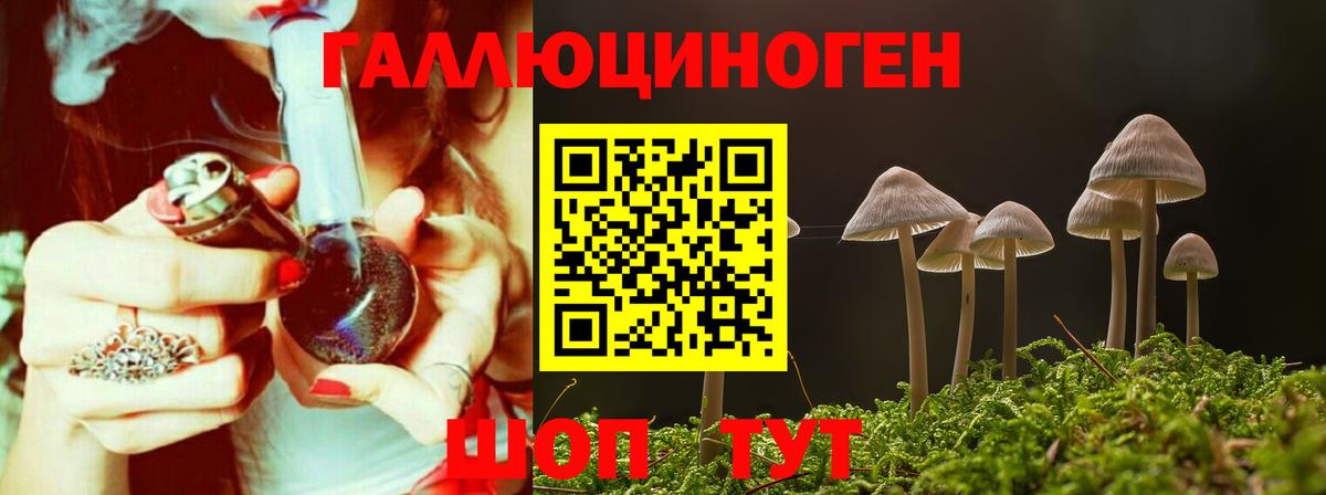 Галлюциногенные грибы прущие грибы Кохма