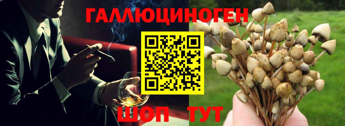 Кохма  Галлюциногенные грибы Magic Shrooms  Галлюциногенные грибы ЛСД  Вход с VPN 